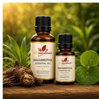 Comprar Aceite Esencial De Nagarmotha