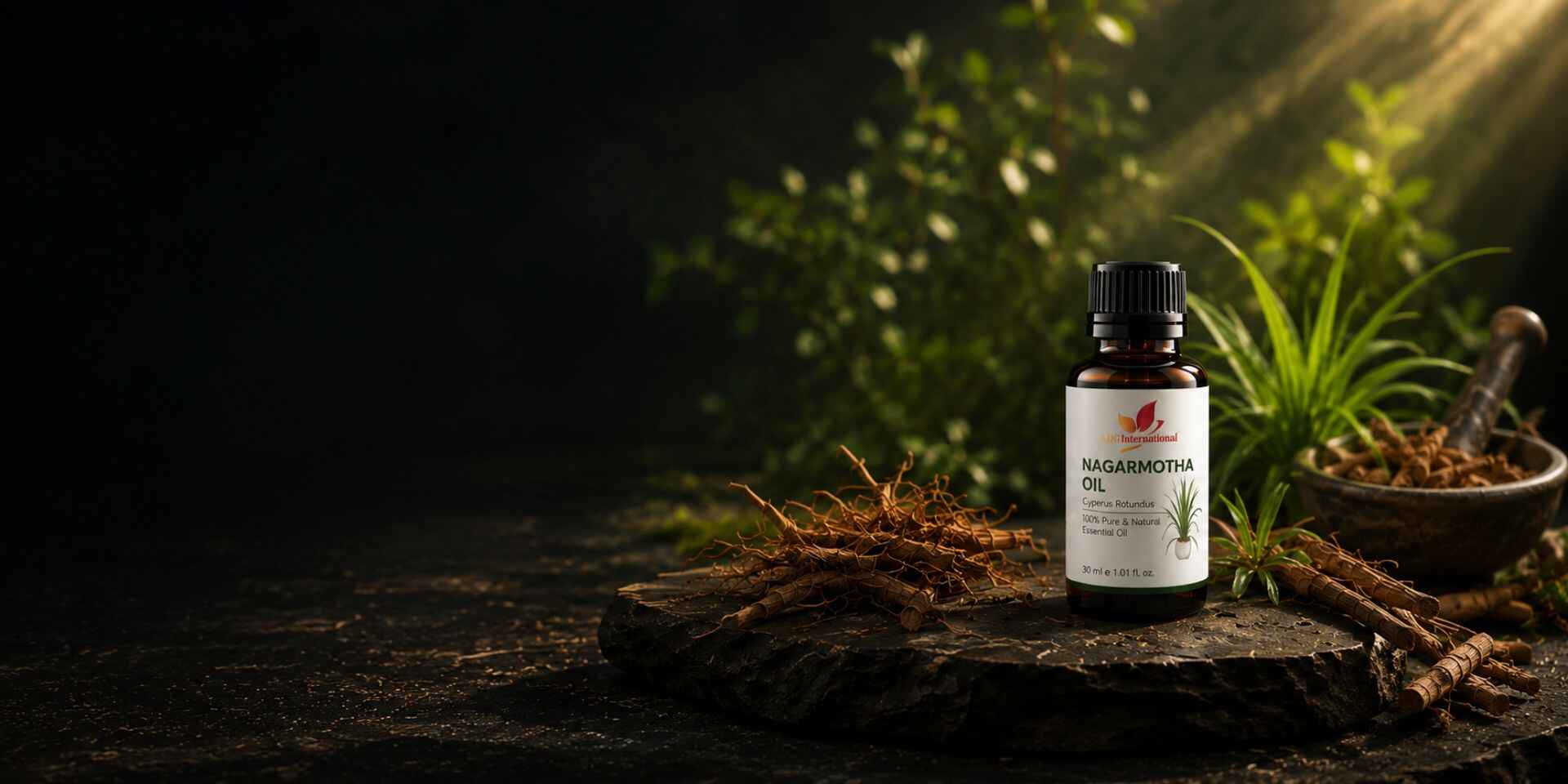 Aceite Esencial De Nagarmotha Y Cyperus Rotundus