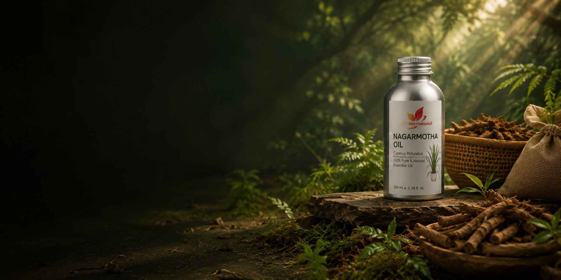Perfil Aromático Del Aceite Esencial De Nagarmotha